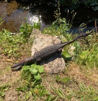 An oceanic art crocodile Image 8